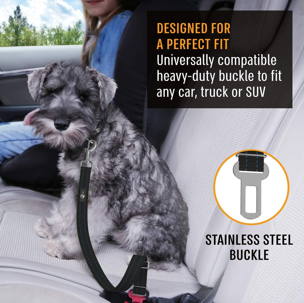 Active Pets durable nylon and zinc alloy hardware for lasting reliability.