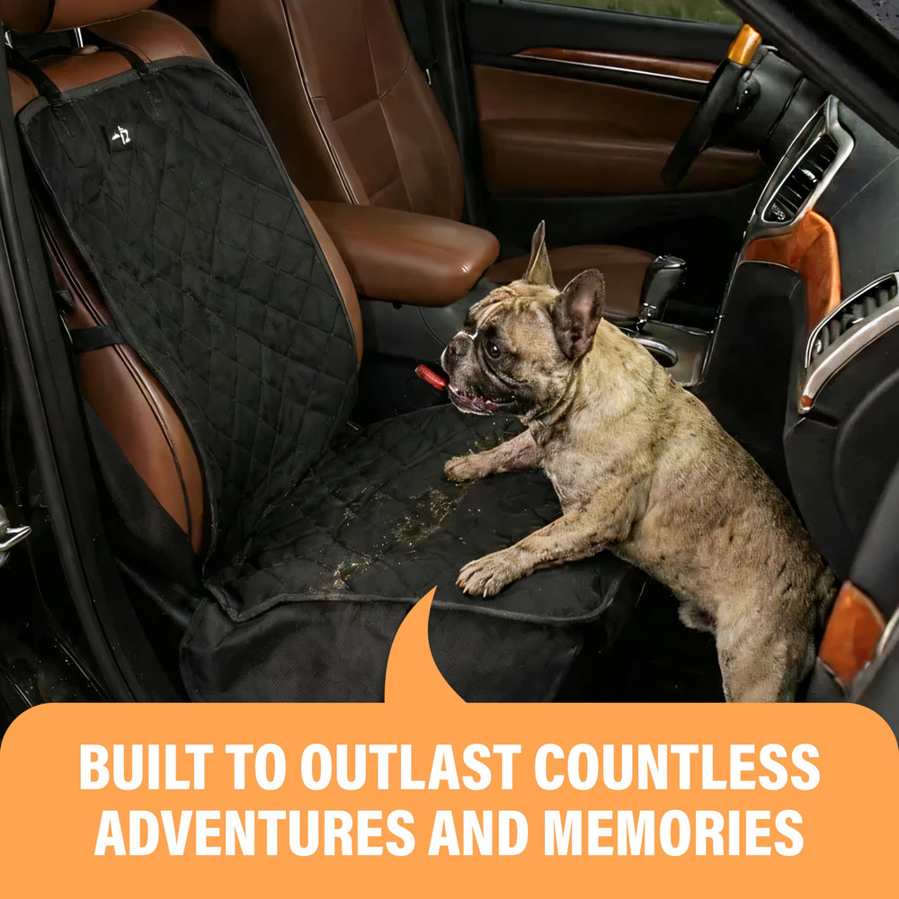 Active Pets harness-compatible setup enables secure belt connections for dogs.