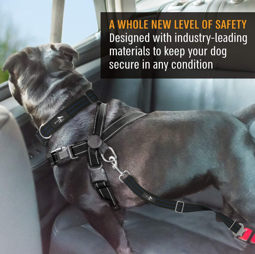 Active Pets blue travel belt in car for pet safety on journeys.