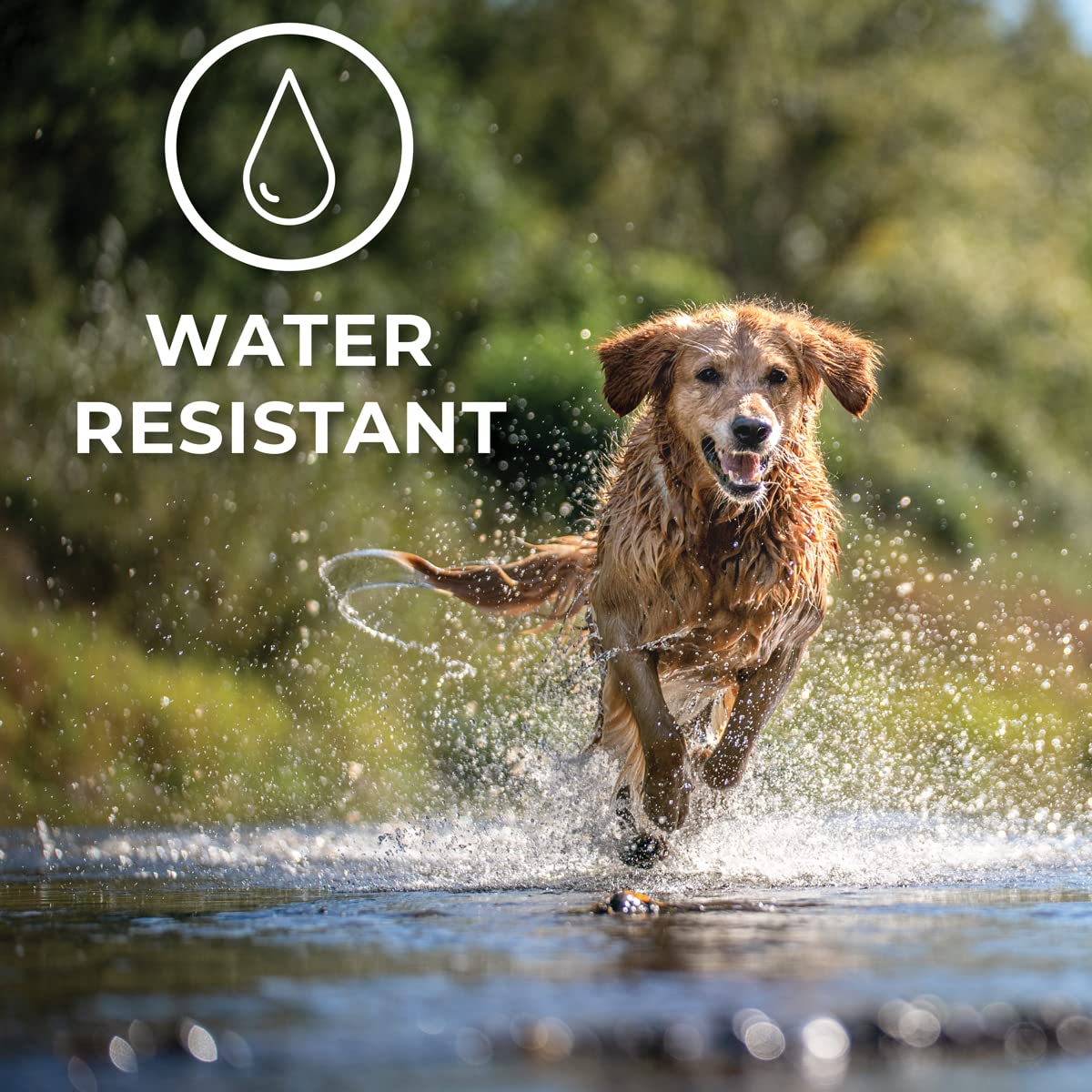 ACTIVPHY provides up to 30 days of continuous support.