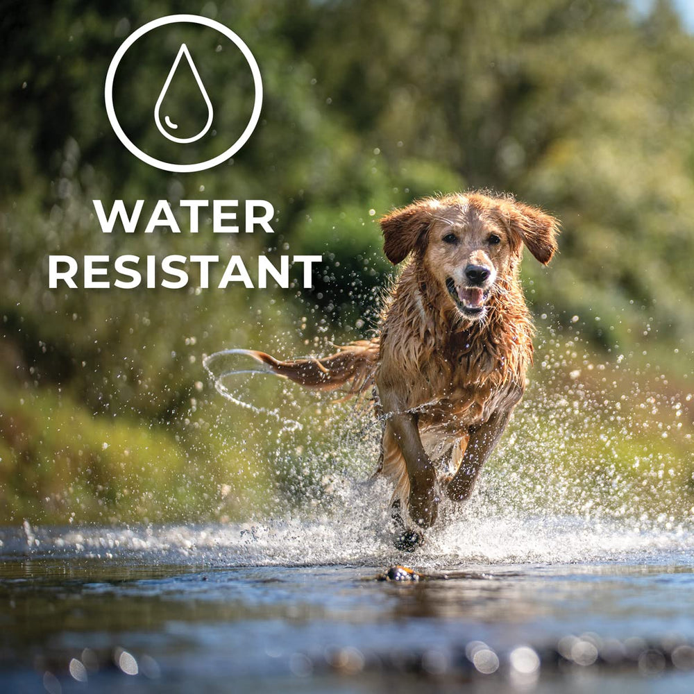 ACTIVPHY provides up to 30 days of continuous support.