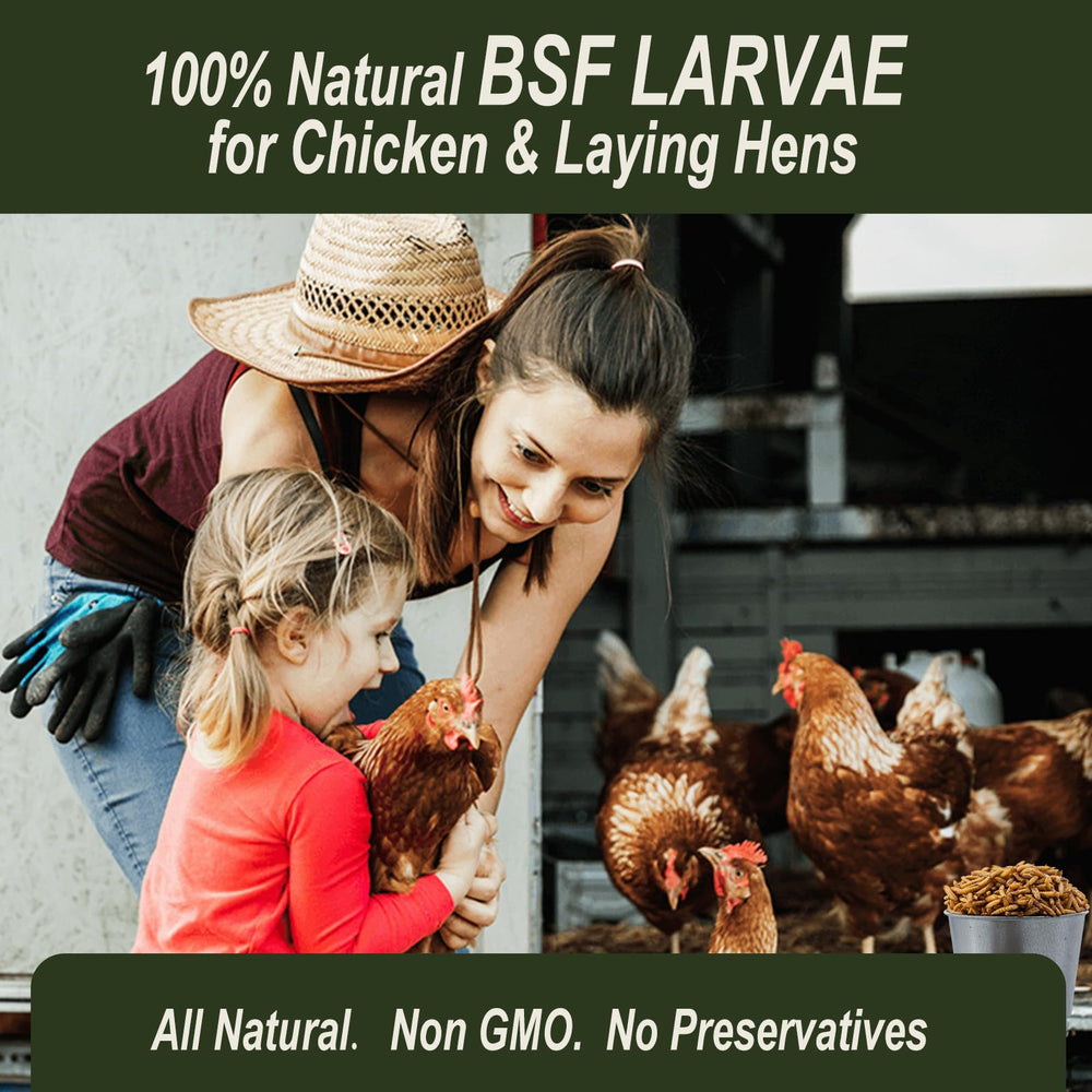 Adaman BSF larvae topper shown as a tasteful meal enhancer for birds