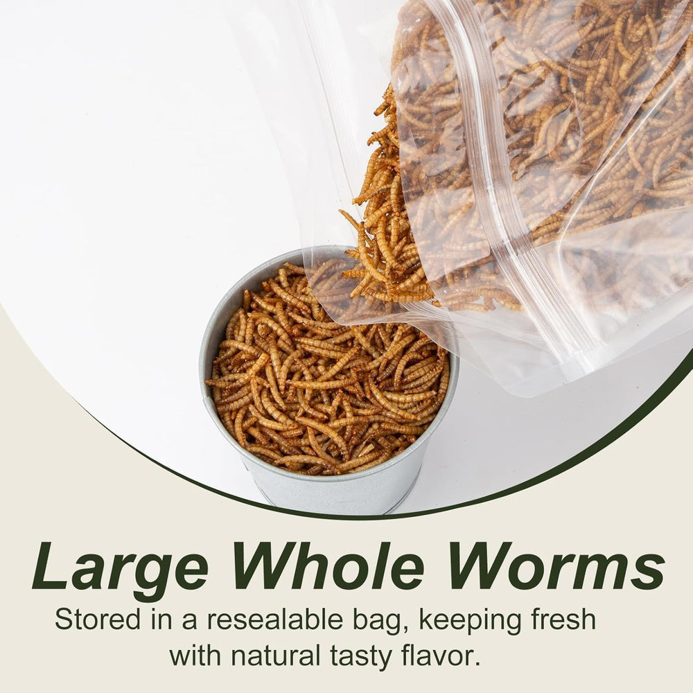 Adaman mealworms for ducks provide protein for healthy growth.