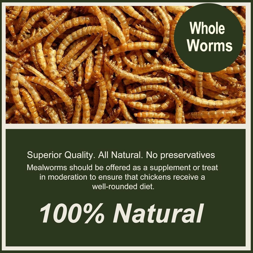Adaman Dried Mealworms scoop image showing easy portioning.