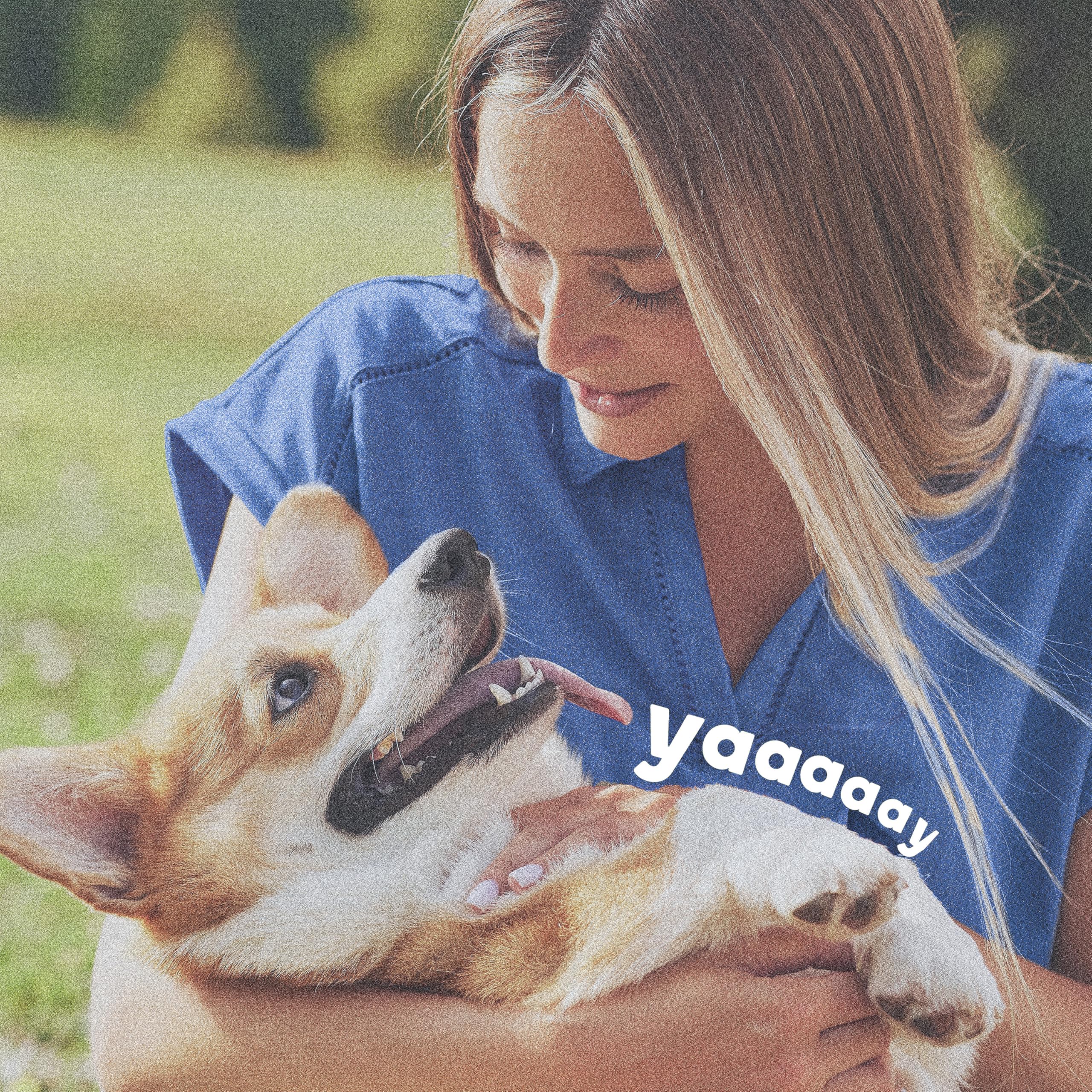 ADAMS collar fits small, medium, and large dogs for versatile protection