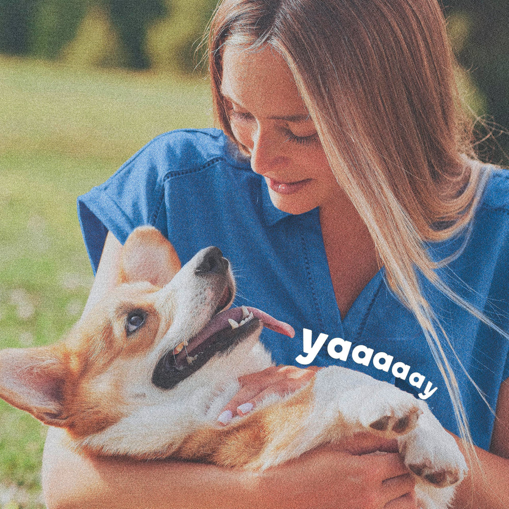 ADAMS collar fits small, medium, and large dogs for versatile protection