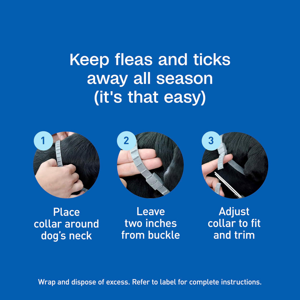 Six months of continuous protection for active dogs.