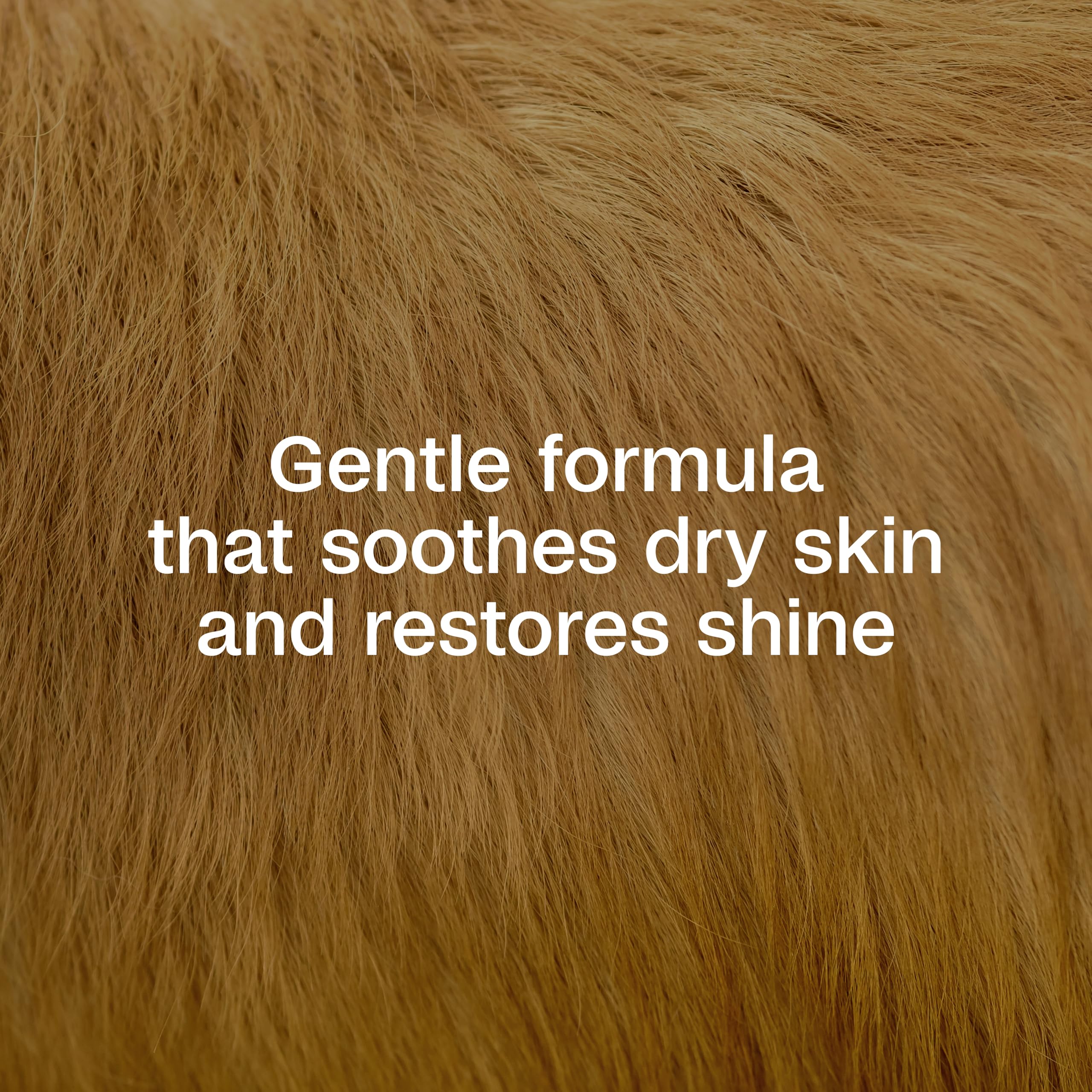 Dog being shampooed with ADAMS Plus Botanicals during bath.