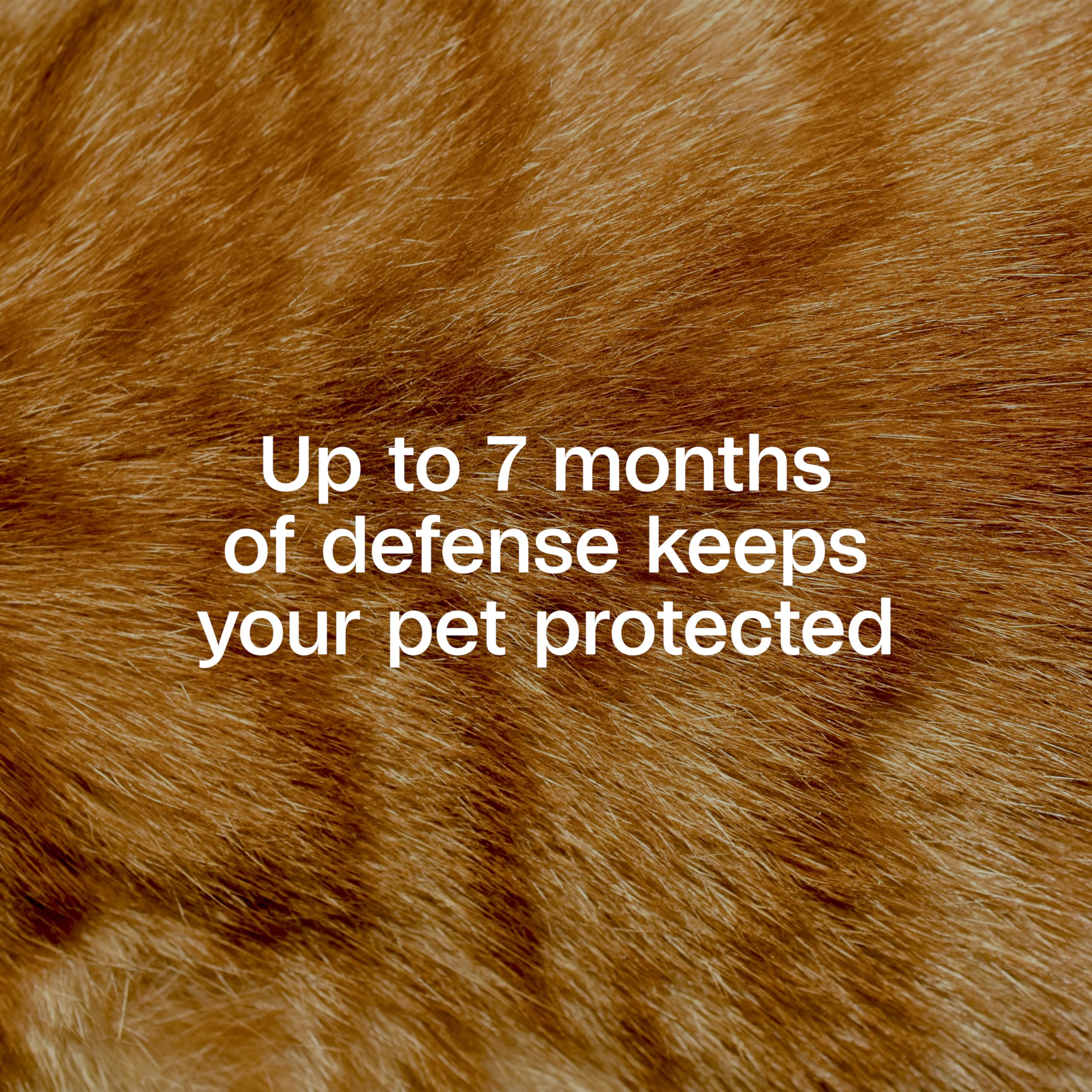 ADAMS Plus collar water-resistant fabric keeps protection intact during rain and play.