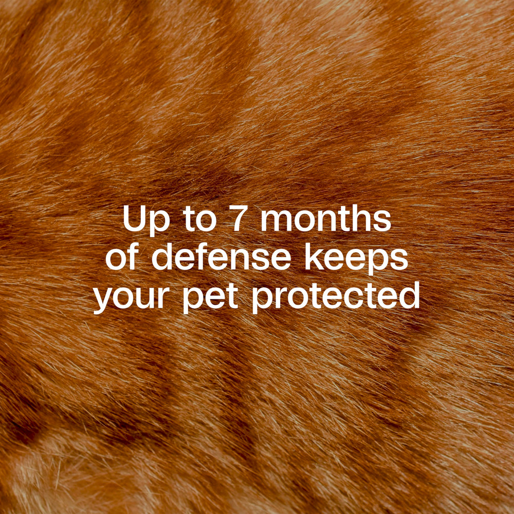 ADAMS Plus collar water-resistant fabric keeps protection intact during rain and play.