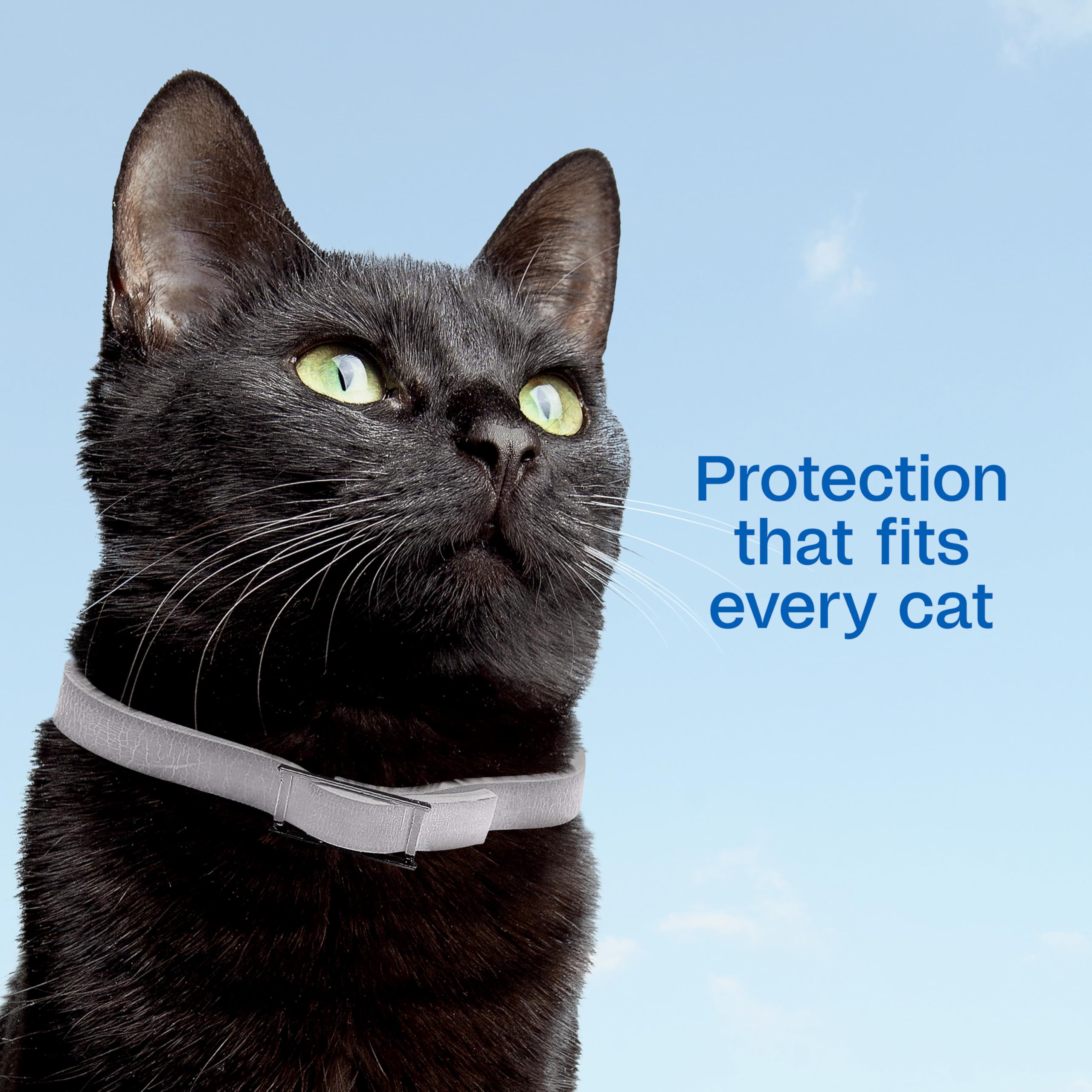 ADAMS Plus extended-release technology delivers protection gradually to coat and skin.