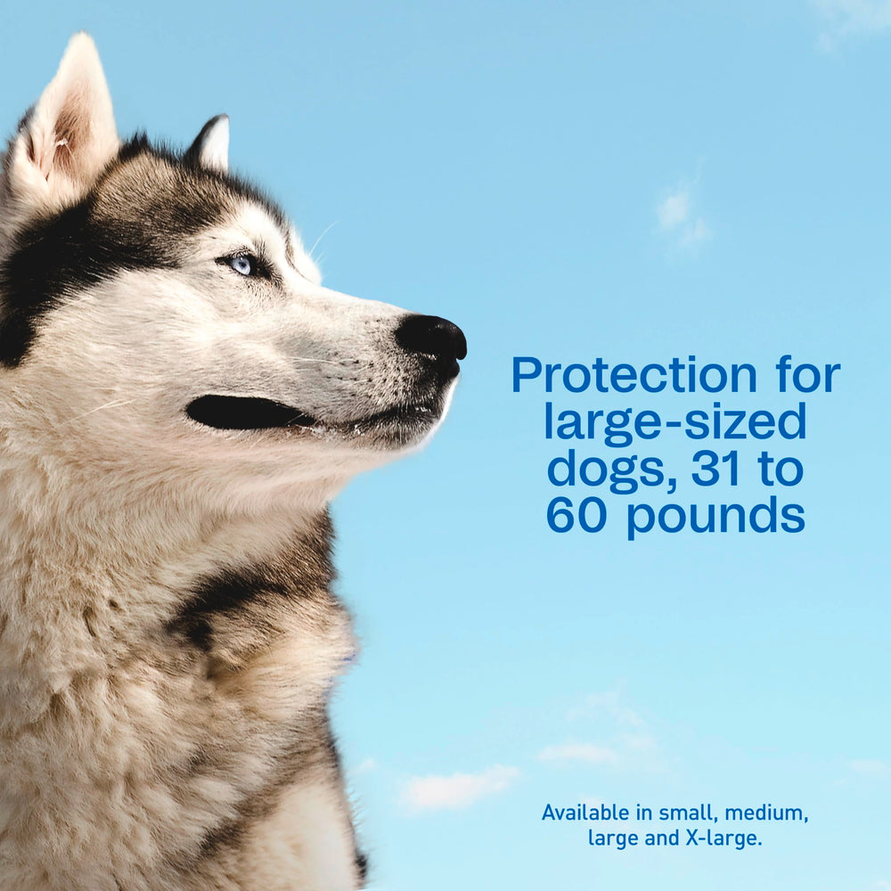 ADAMS Plus easy-to-use applicator glides through fur for quick, on-skin application