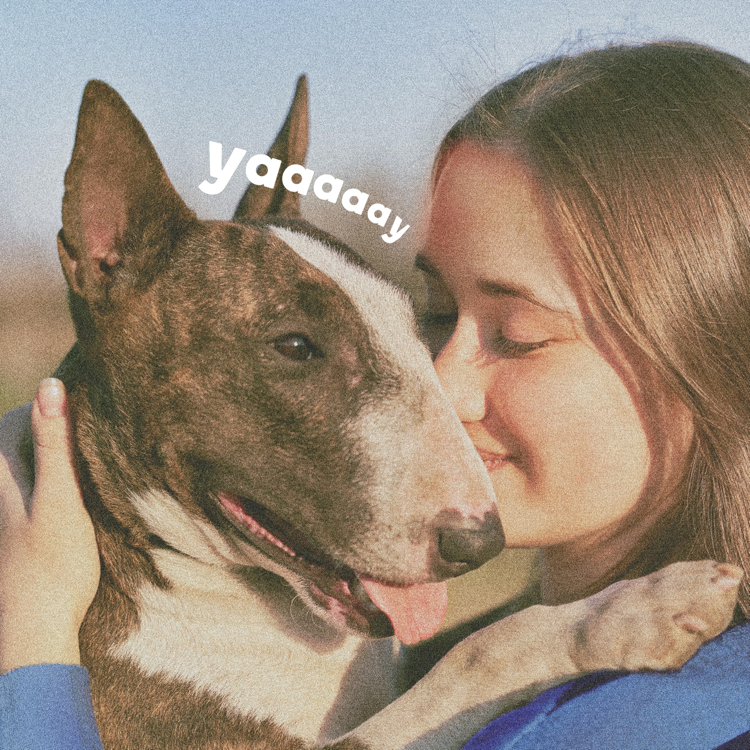 ADAMS Plus 3-month supply offers convenient, long-term protection for a multi-dog home