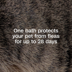 Lather on a dog with ADAMS Plus shampoo during bath for cleansing