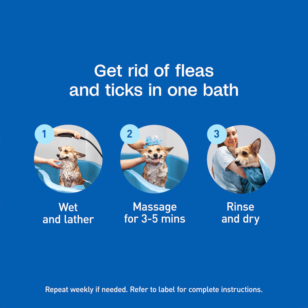 ADAMS Plus shampoo pour and rinse action during bath