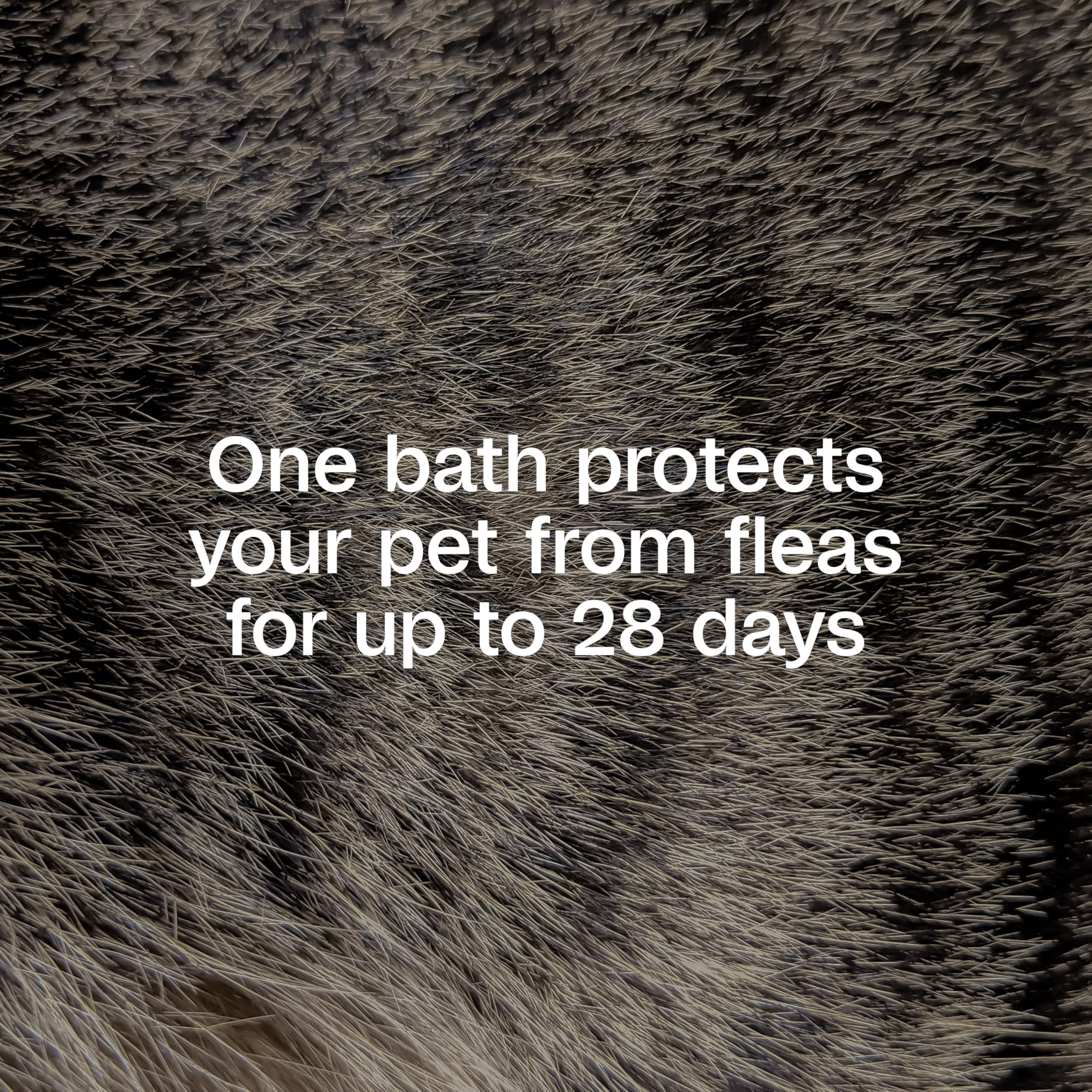Precor IGR label on ADAMS shampoo indicates flea lifecycle control