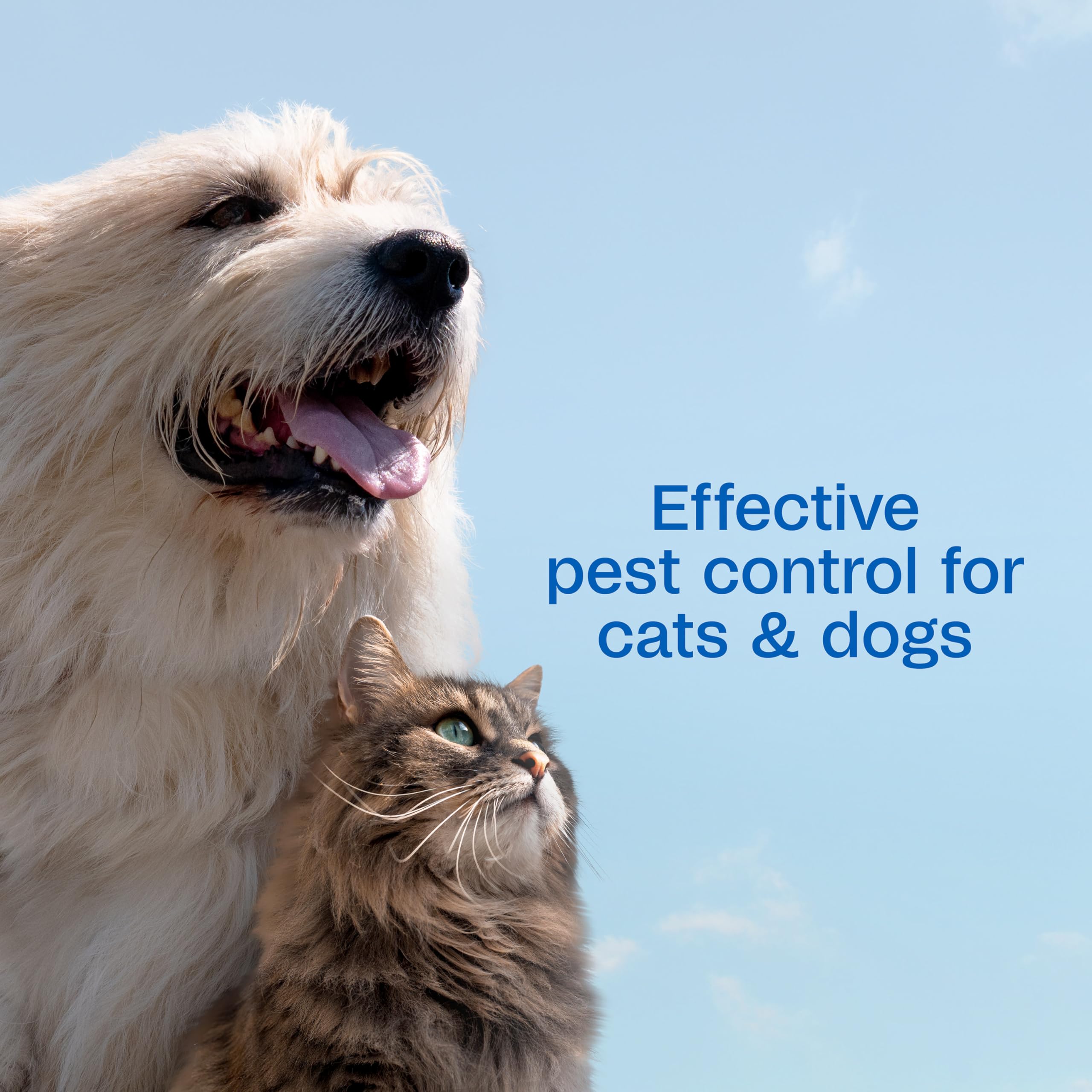 ADAMS Plus Flea & Tick Spray trigger close up for easy application