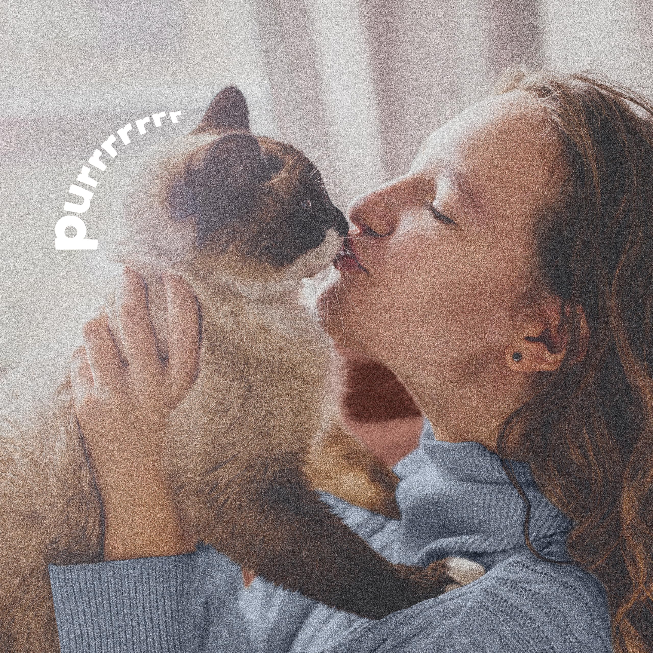 ADAMS Plus protects pet, home, and yard from fleas and ticks.