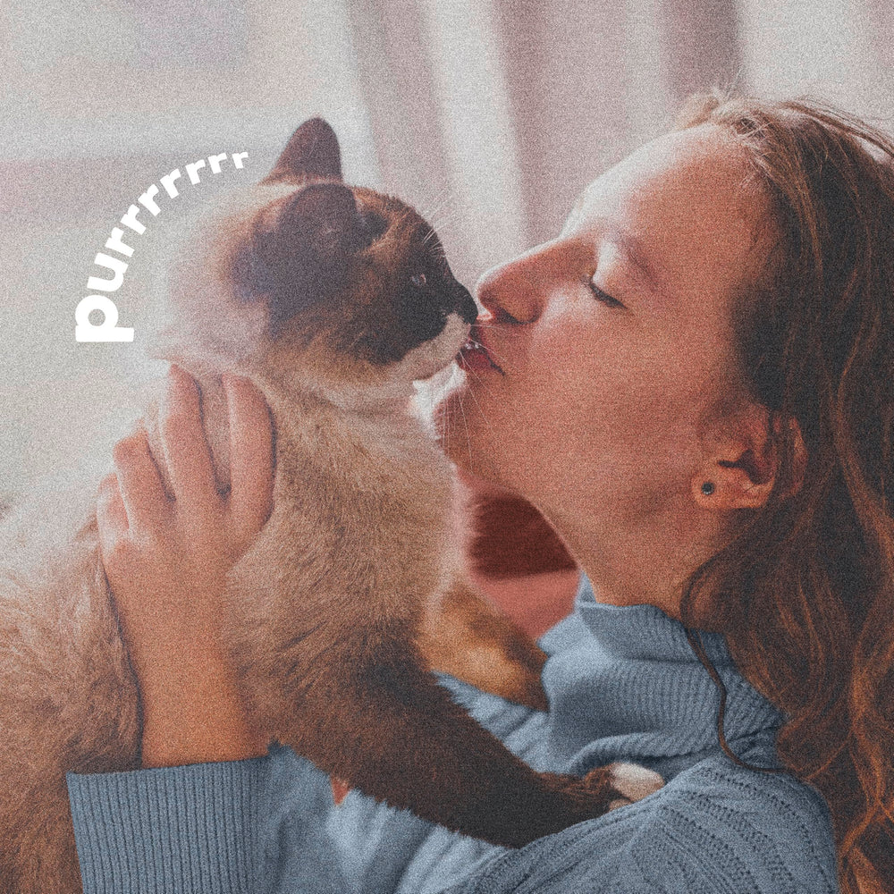 ADAMS Plus protects pet, home, and yard from fleas and ticks.