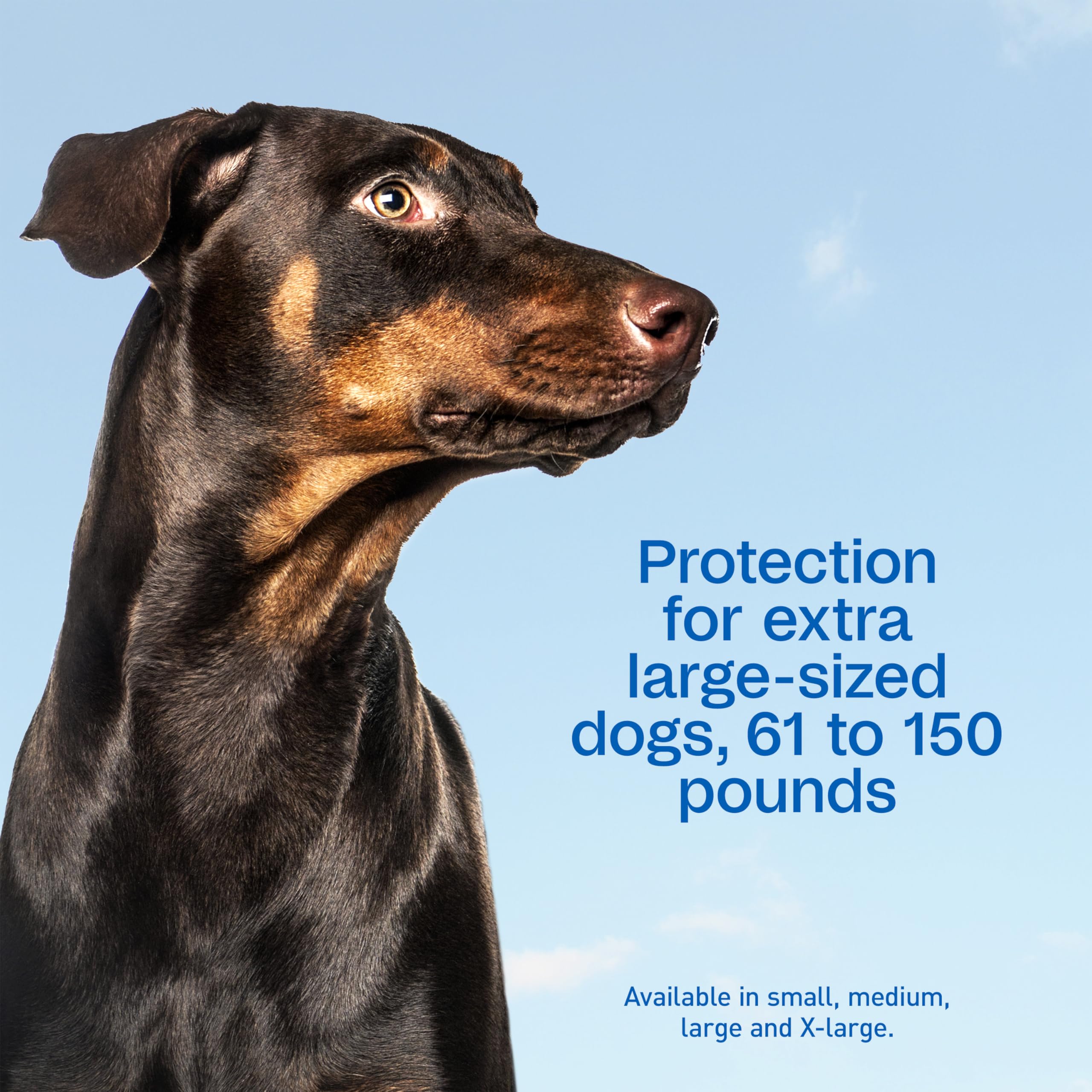 ADAMS Plus kills fleas within 15 minutes after application