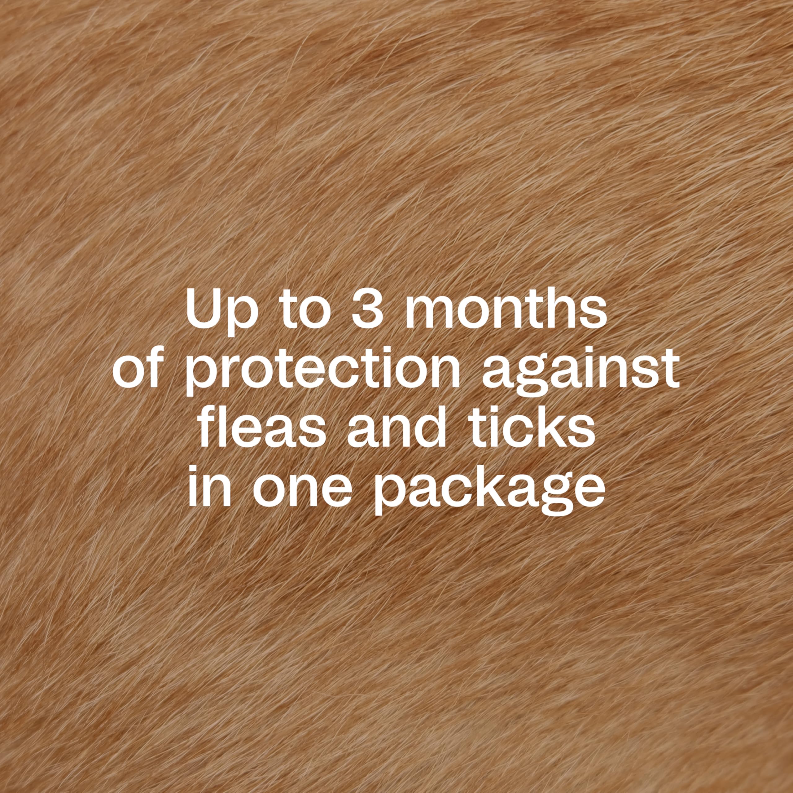 ADAMS Plus spot-on applied through fur for even coverage on a dog.