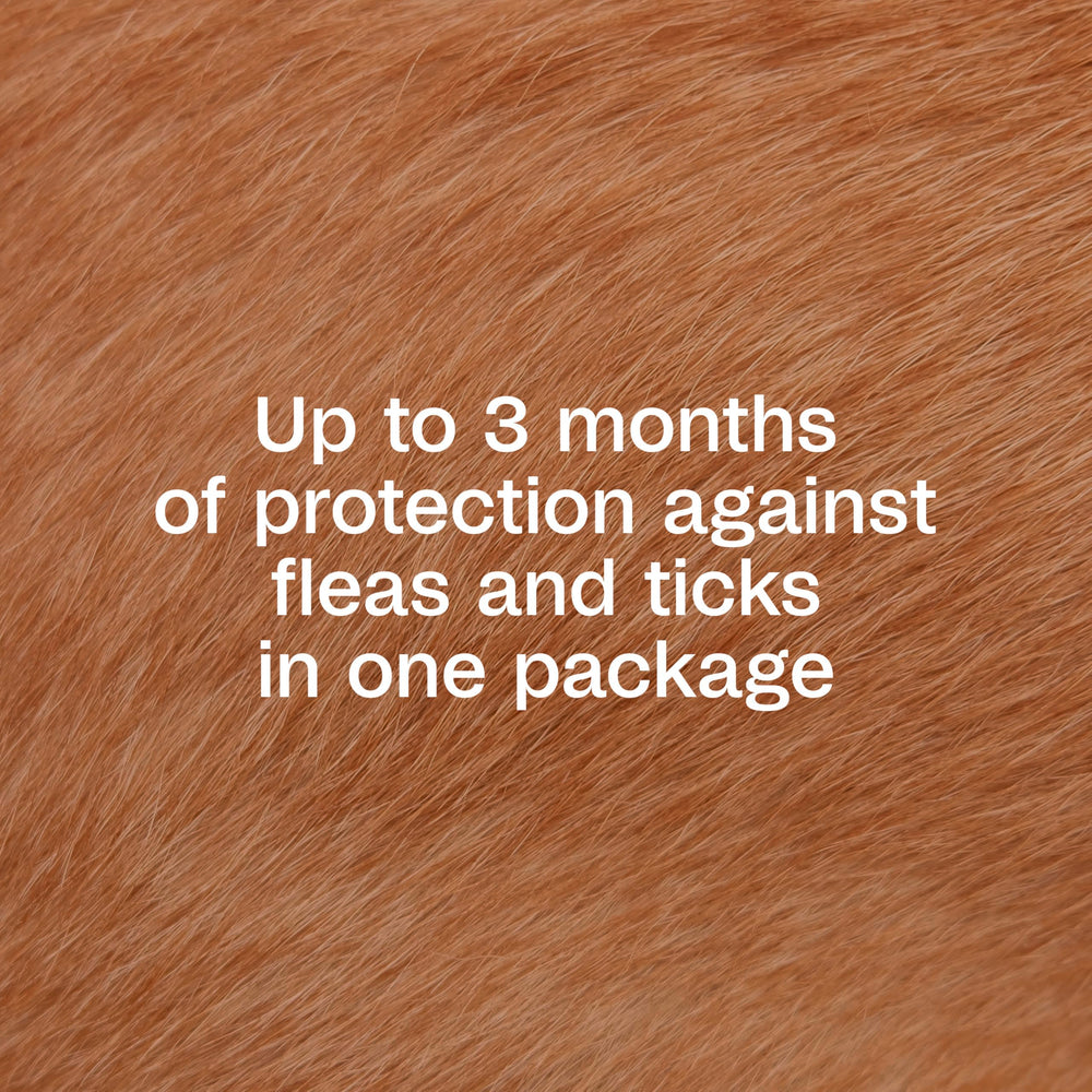 ADAMS Plus spot-on applied through fur for even coverage on a dog.