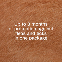 ADAMS Plus spot-on applied through fur for even coverage on a dog.