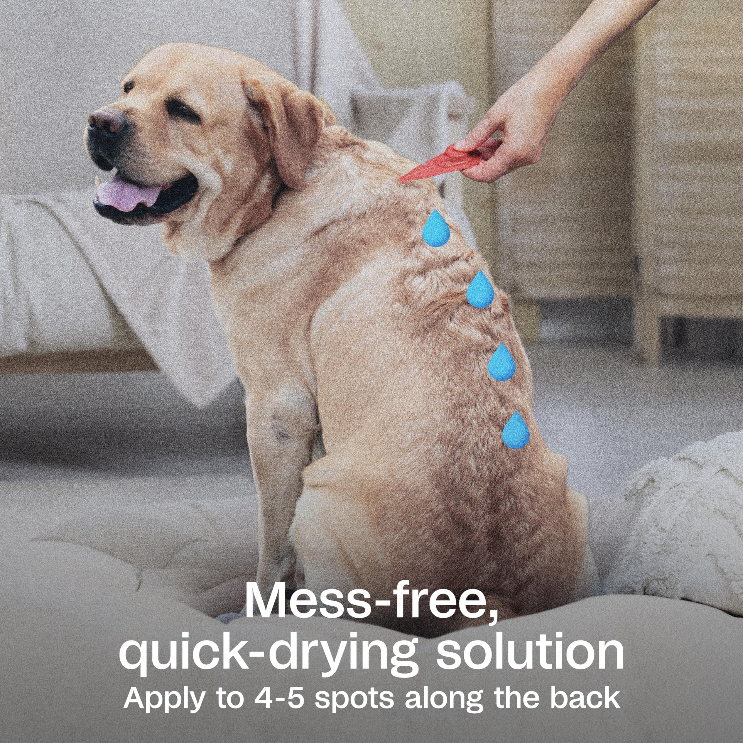 ADAMS Plus waterproof formula dries quickly and remains on the coat