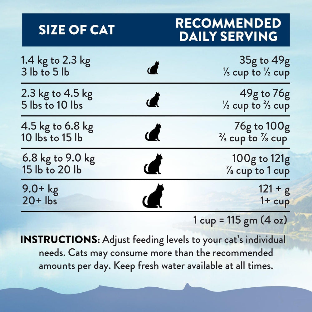 Addiction Wild Kangaroo Feast indoor-cat context focusing on metabolism and digestion