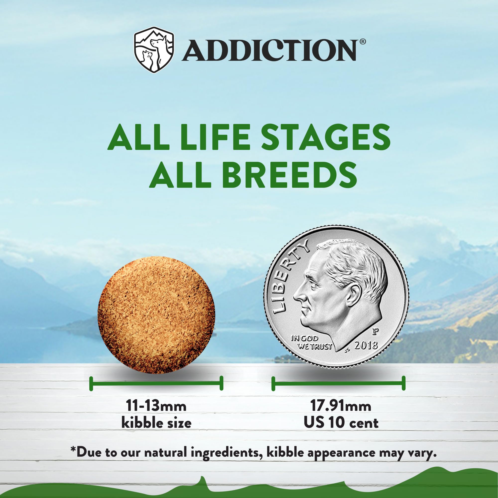 Close-up of Addiction Zen Vegetarian kibble highlighting plant-based protein.