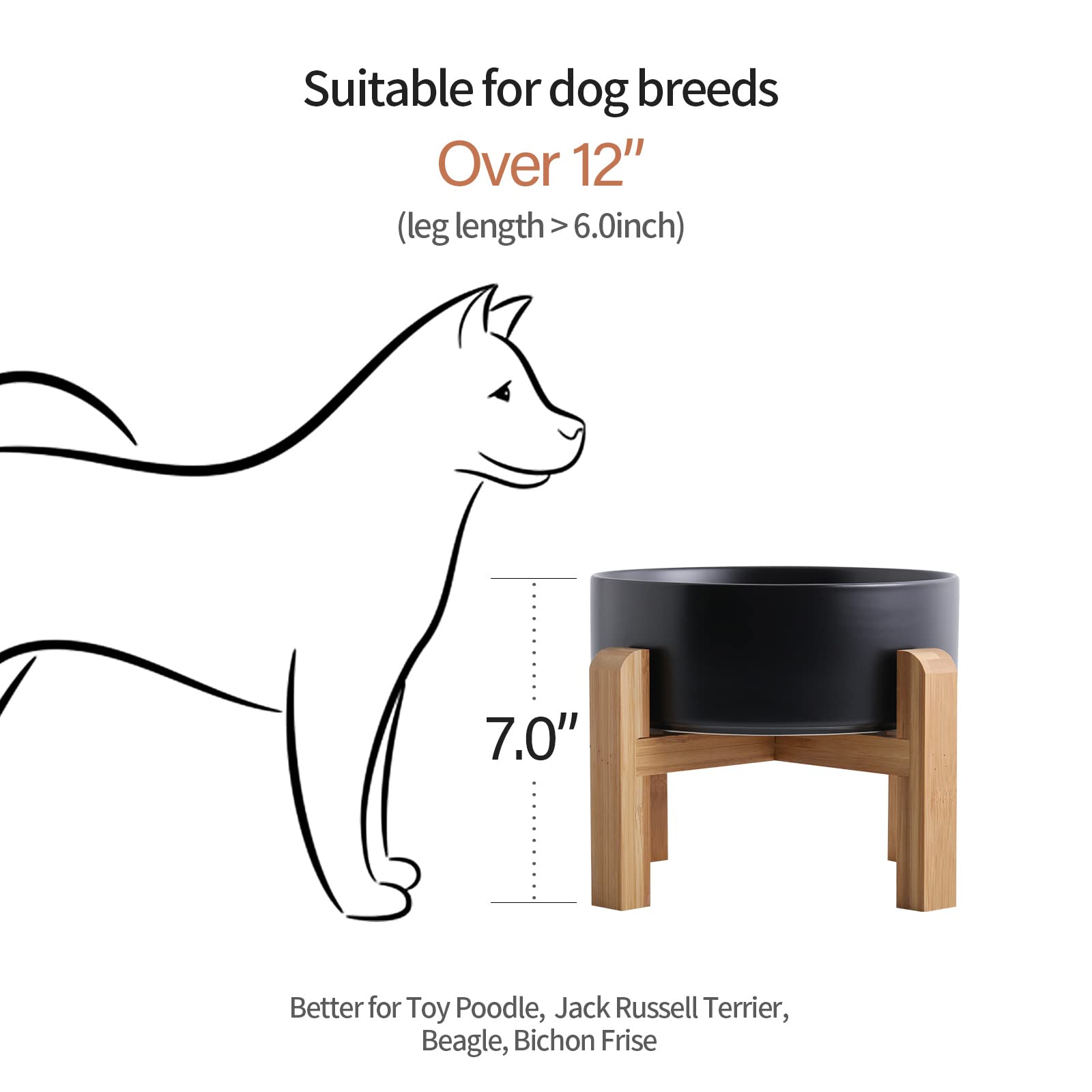 Addogyy dog bowl non-slip base keeps floors clean during meals.