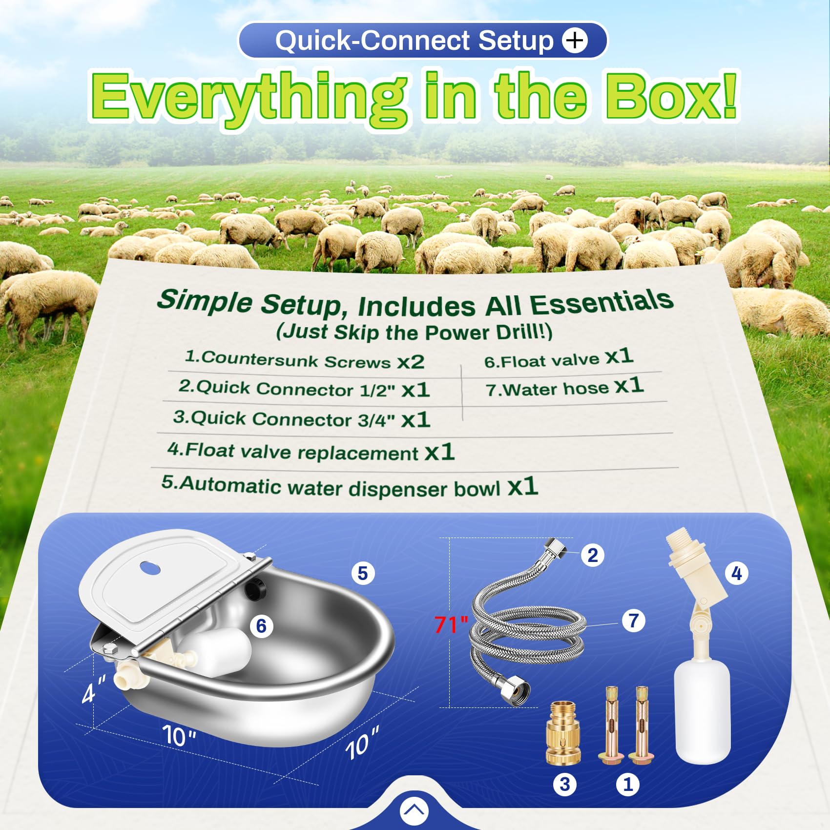 Ademon stainless-steel water bowl construction highlights durable rust-resistant material