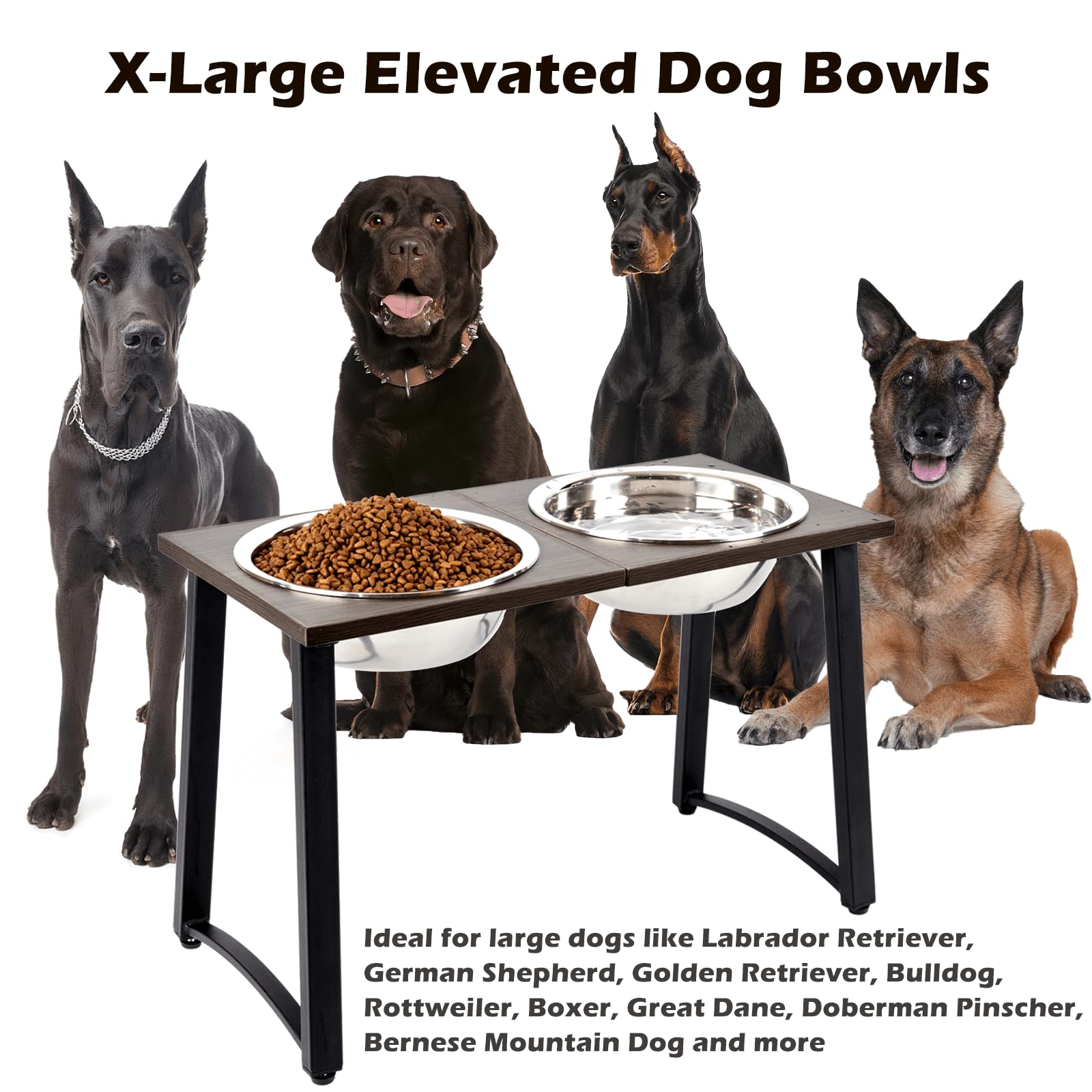 ADENGL two 3000ml stainless steel bowls provide ample food and water capacity.