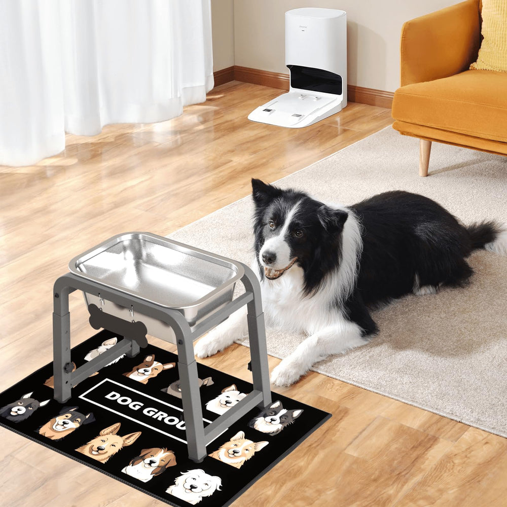 ADENGL bone name tag offers a personalized touch for pets