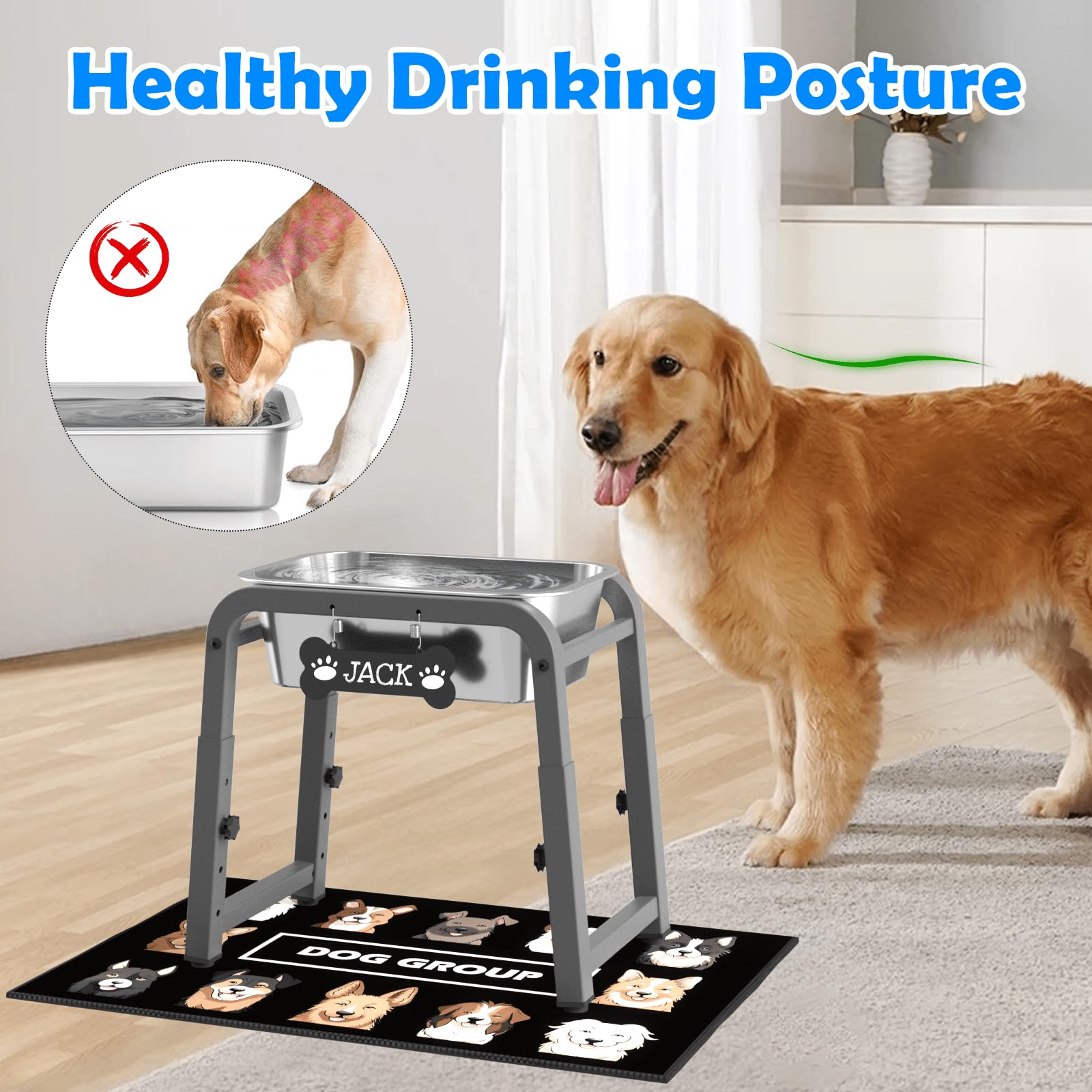 ADENGL elevated dog water bowl with height adjustment for comfortable drinking