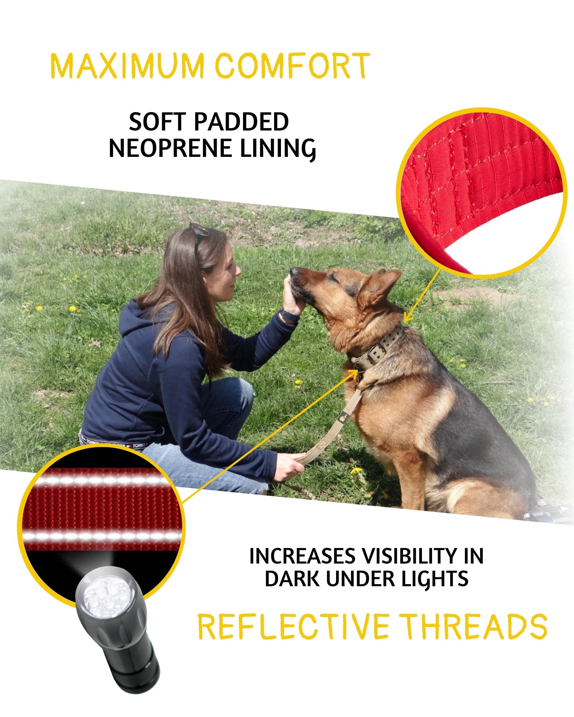 ADITYNA 1.5-inch-wide heavy-duty collar offering secure daily wear