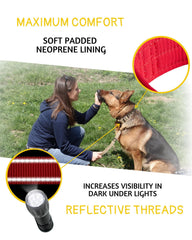 ADITYNA 1.5-inch-wide heavy-duty collar offering secure daily wear