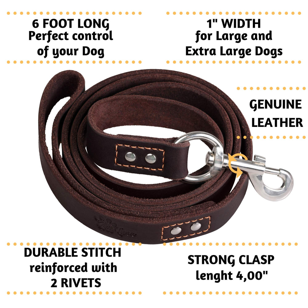ADITYNA 360-degree stainless clasp secures pulls safely during training