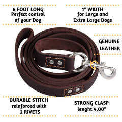 ADITYNA 360-degree stainless clasp secures pulls safely during training