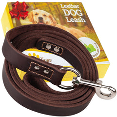 ADITYNA brown leather dog leash 6ft for everyday walks and reliable control.