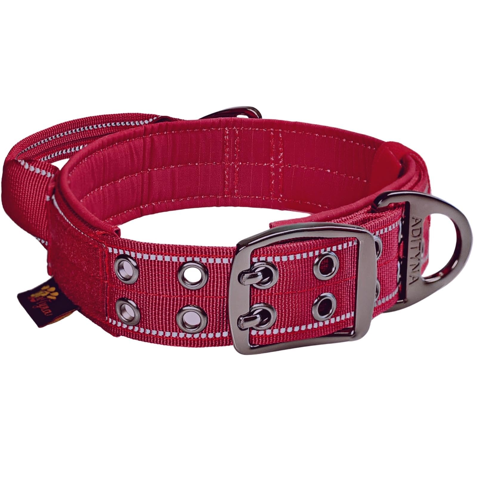 ADITYNA burgundy large-dog collar ideal for daily walks