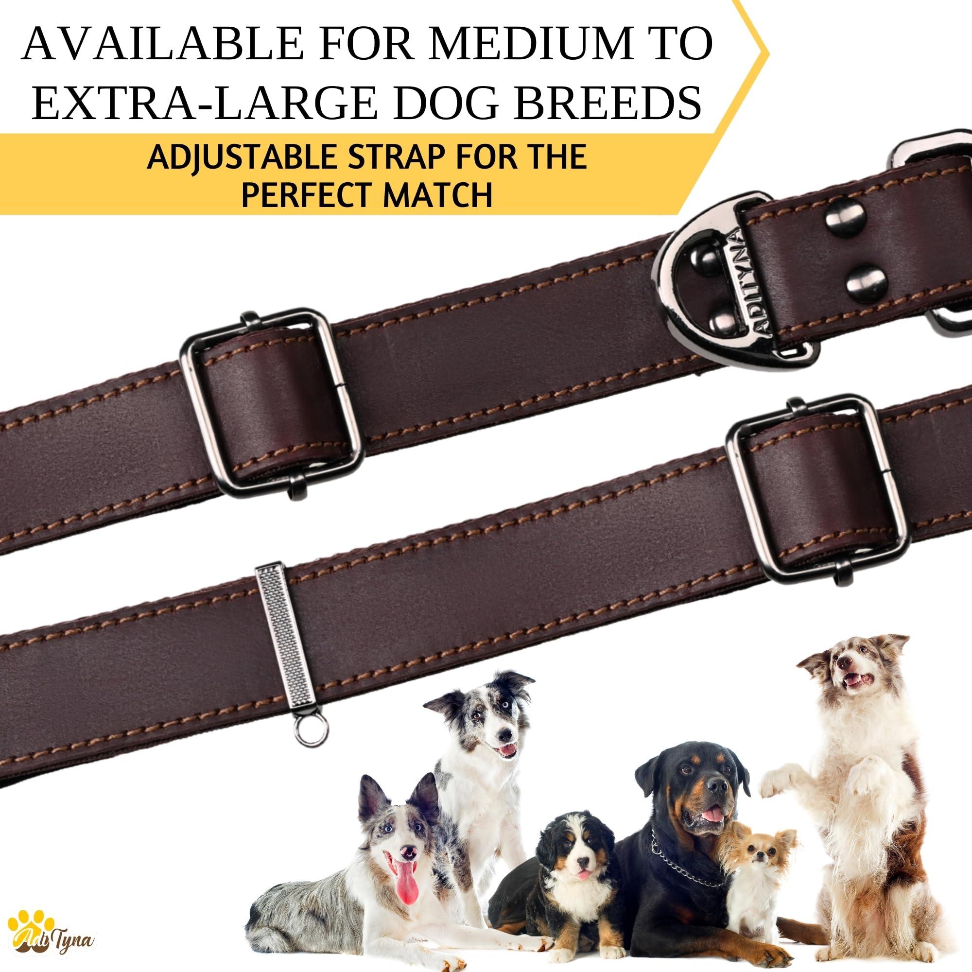 ADITYNA Collar with D-ring for easy leash attachment.