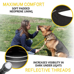 ADITYNA D-ring leash attachment for sturdy connection during walks