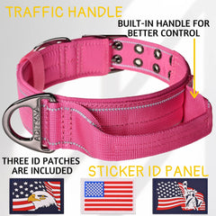 ADITYNA D-ring leash attachment on heavy-duty collar for reliable leash connection