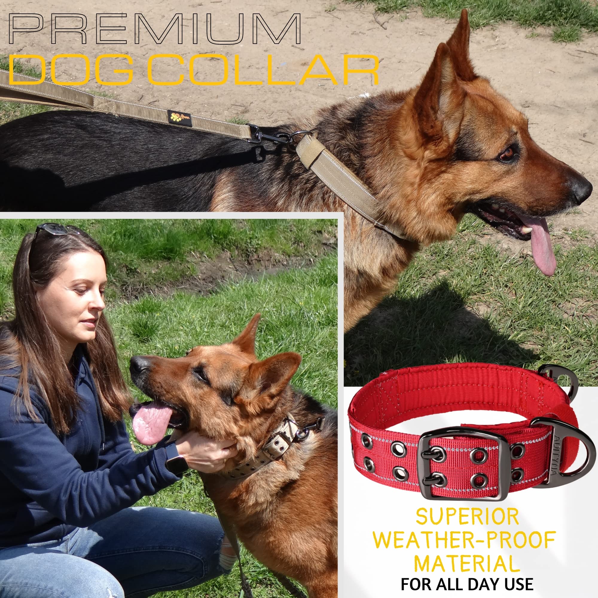 ADITYNA collar with sturdy D-ring for secure leash attachment