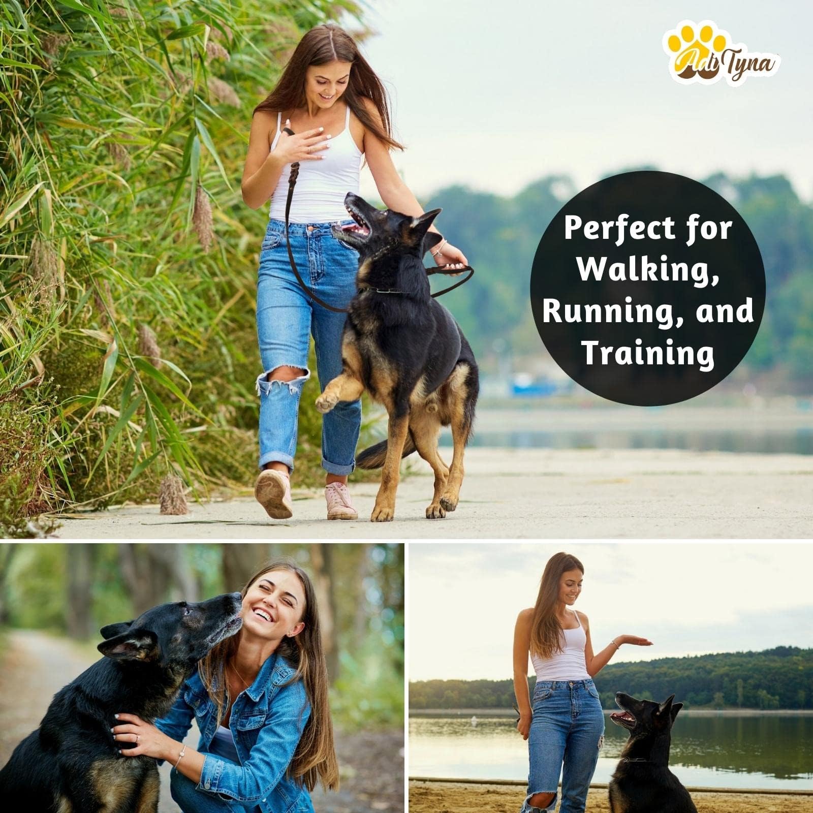 ADITYNA deluxe gift packaging highlights the included gift for dog owners.