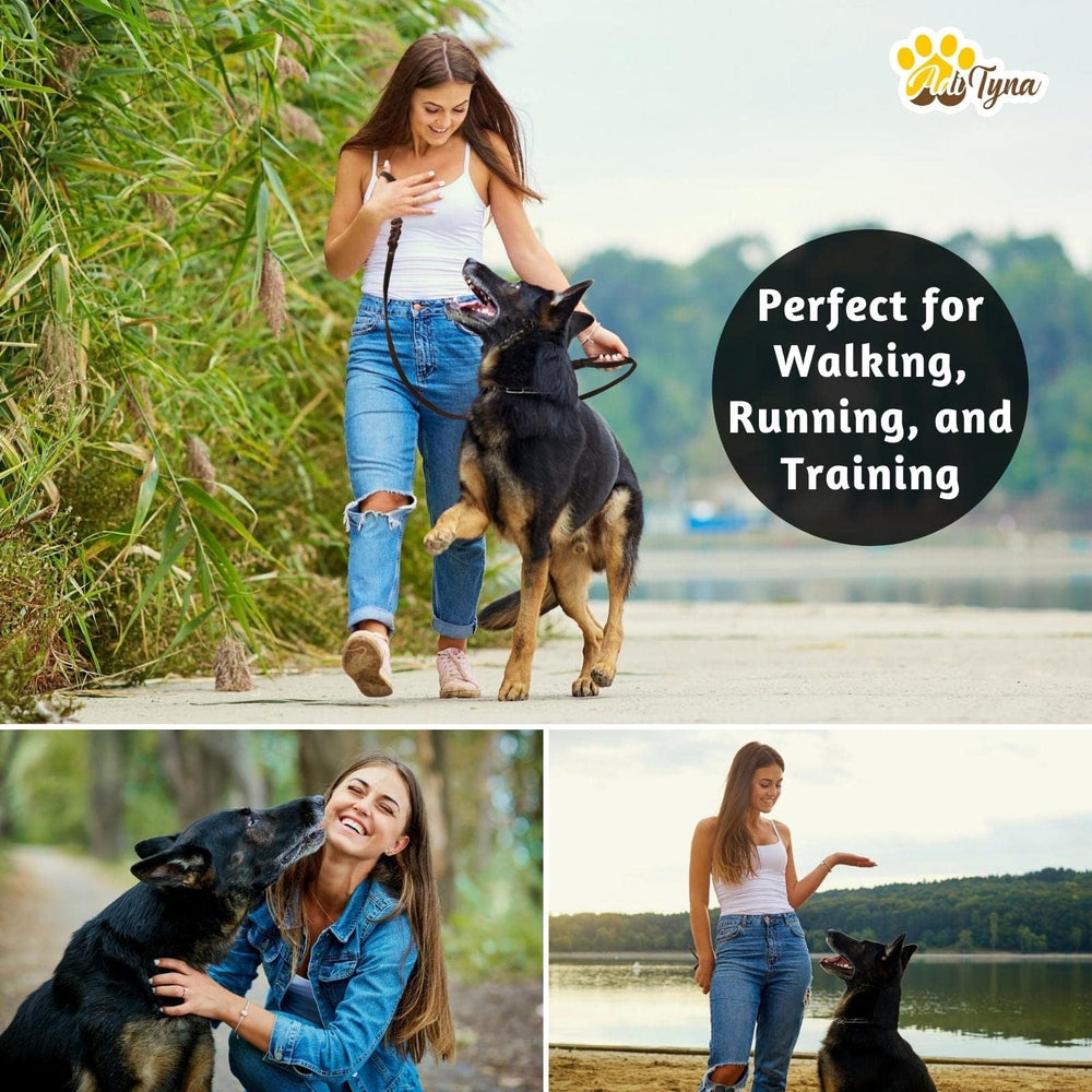 ADITYNA deluxe gift packaging highlights the included gift for dog owners.