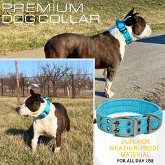 ADITYNA large-dog collar with handle for training and safer walking.