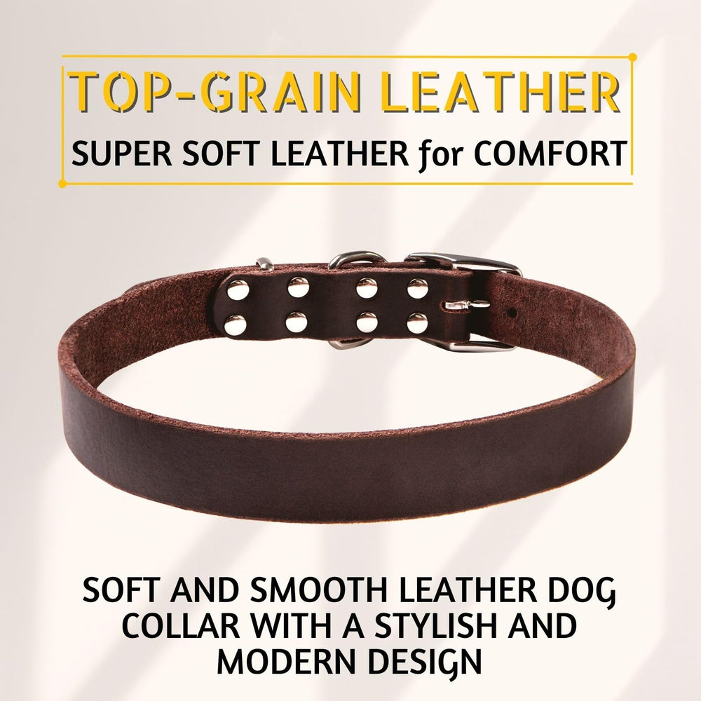 ADITYNA double buckle and D-ring design for secure leash attachment.