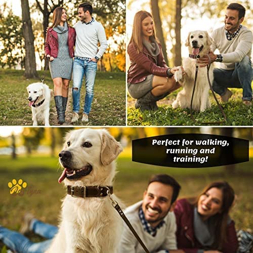 ADITYNA double-up capability allows using as a short leash when needed.